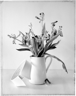 Collar & Vase Collar & Vase