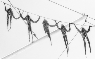 Hanging Out with Friends Hanging Out with Friends