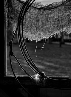 Tattered Screen Tattered Screen