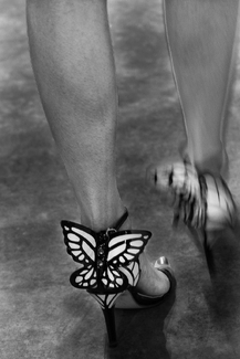 Flying Away Flying Away