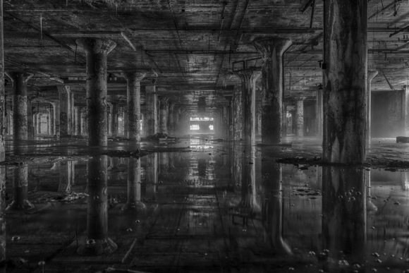 Reflections of an Automobile Plant