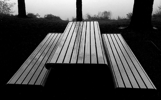 Shiny Picnic Table Shiny Picnic Table