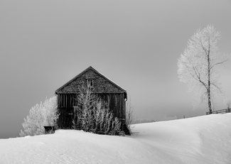 Morning Frost Morning Frost