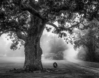 Yesteryear Yesteryear