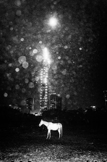 Vague Dreams Vague Dreams