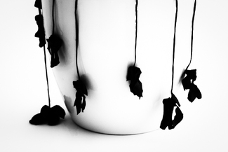 Death of a Cyclamen Death of a Cyclamen