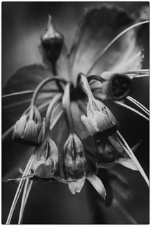 Untitled (1) Untitled (1)