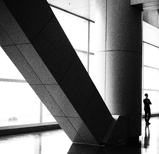 Living Like a Log Living Like a Log