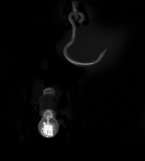 Fishing for Light Fishing for Light