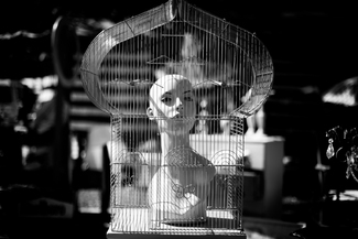 Freedom of Speech Freedom of Speech