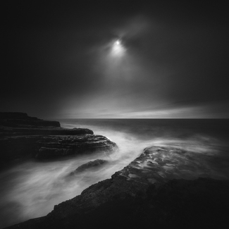 Dark Beauty Dark Beauty