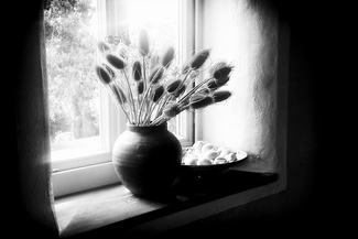 Still Life with Sun Still Life with Sun