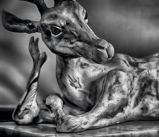 Impalina #9 Impalina #9