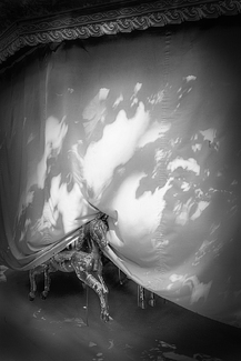 Escape the Merry Go Round Escape the Merry Go Round