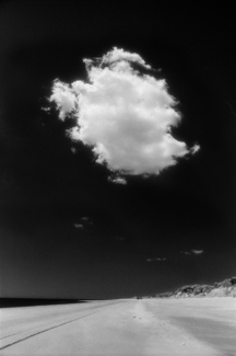 Lone Cloud, Doana National Park, Spain