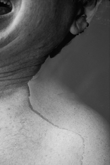 Forty Two Degrees Forty Two Degrees