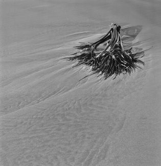 Left Behind (2) Left Behind (2)