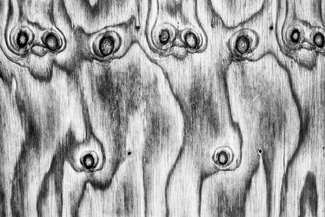 Detail, Cemetery Detail, Cemetery