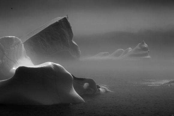 Icebergs in Fog (2)