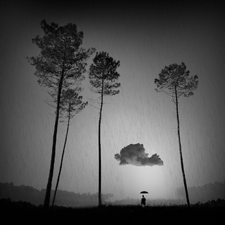 The World Turned Upside Down The World Turned Upside Down