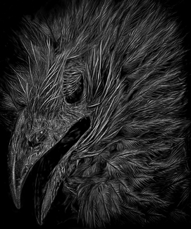 Rich Coucal Wreath Rich Coucal Wreath