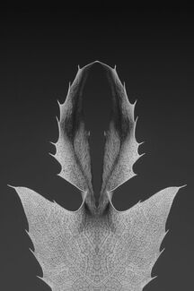 Leaf Sculpture 1256 Leaf Sculpture 1256