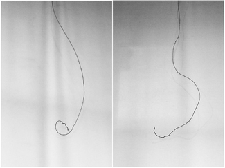 Curl, Uncurl Curl, Uncurl