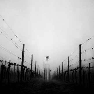 There Can No Outer Wine There Can No Outer Wine