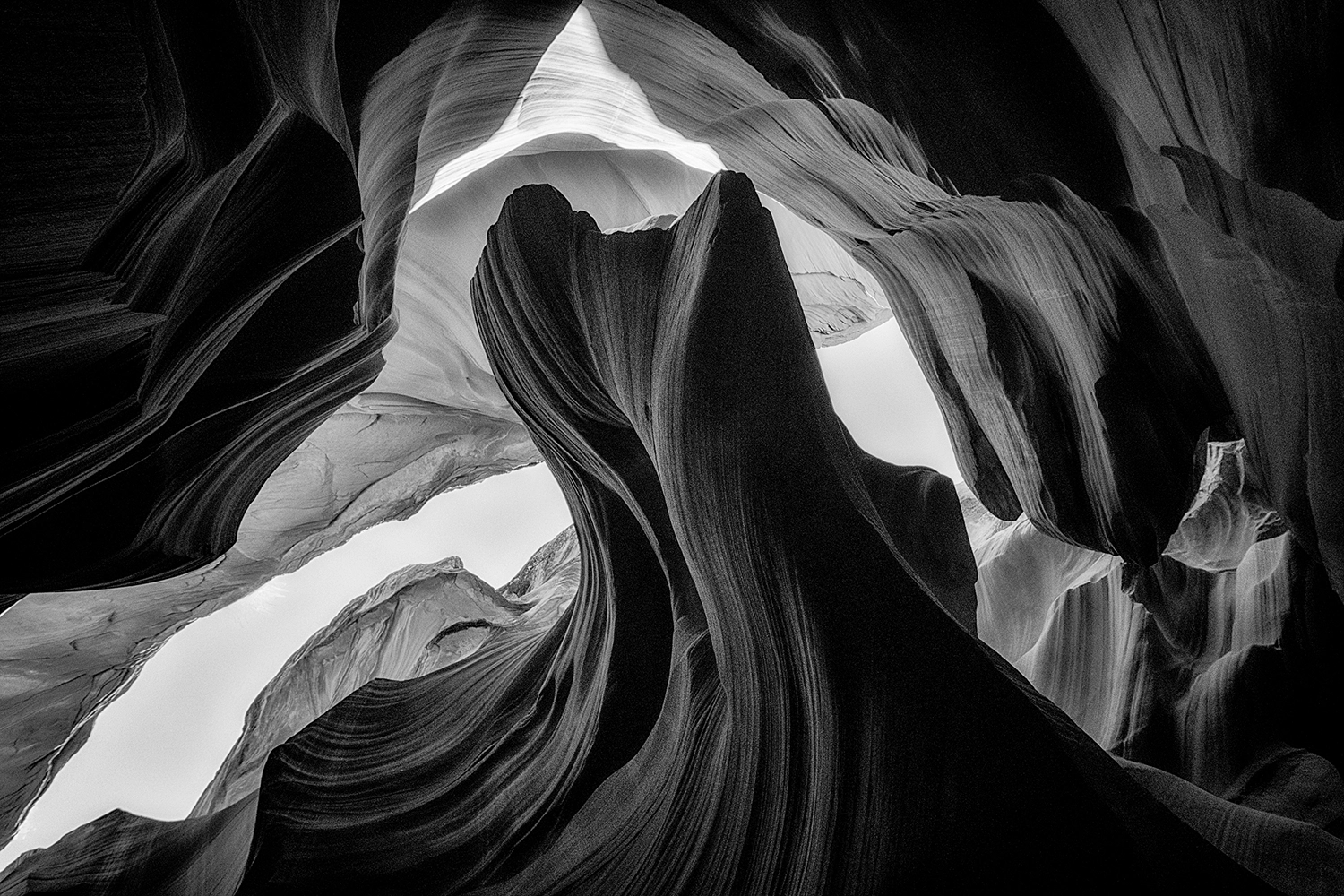 NATURE photography by Mark Seawell