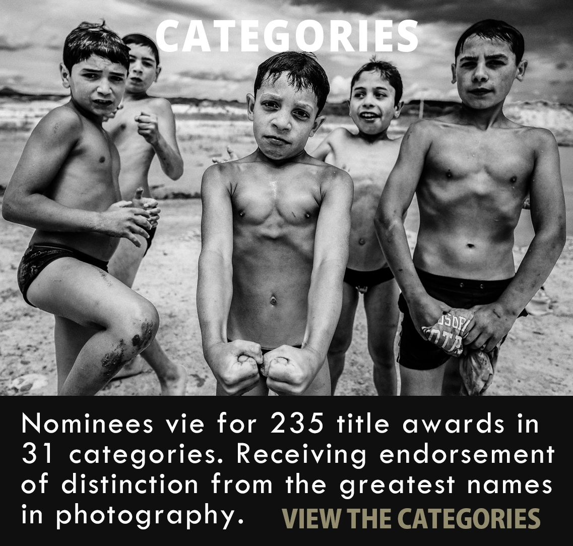 Black & White Spider Awards categories