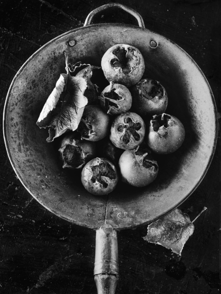 Medlars