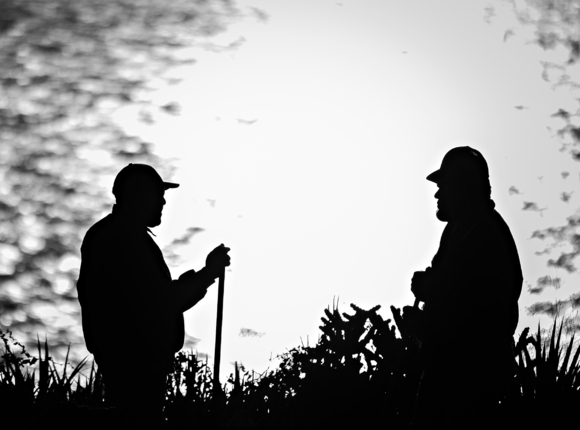 The Gardeners