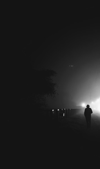 Foggy Nights