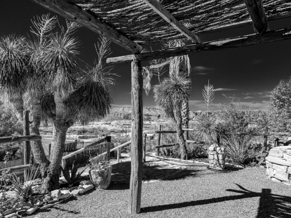 Terlingua Morning