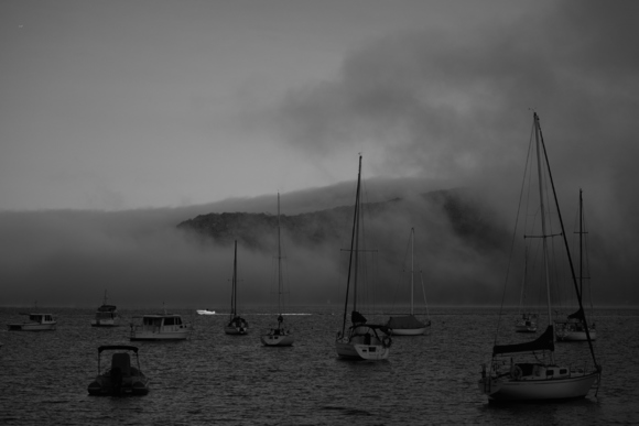 Palm Beach In Fog