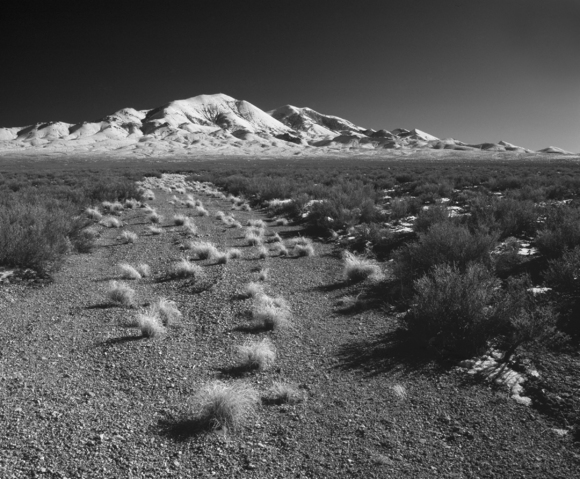 Desert Road