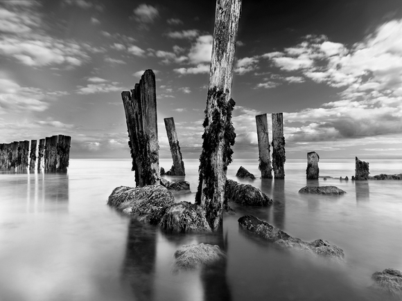 Kilbrittain Study #1 Kilbrittain Study #1