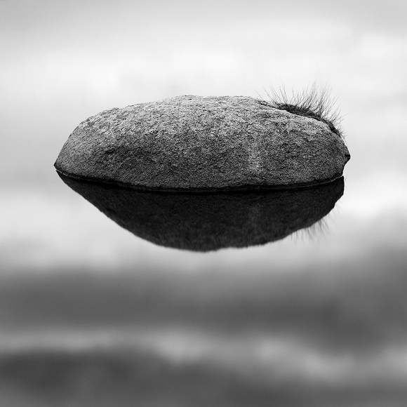 Sensual Stone Sensual Stone