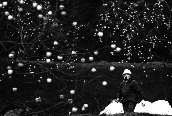 The aftermath of nuclear crisis The aftermath of nuclear crisis