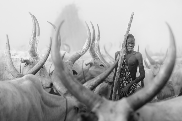 Mundari cattle herder Mundari cattle herder