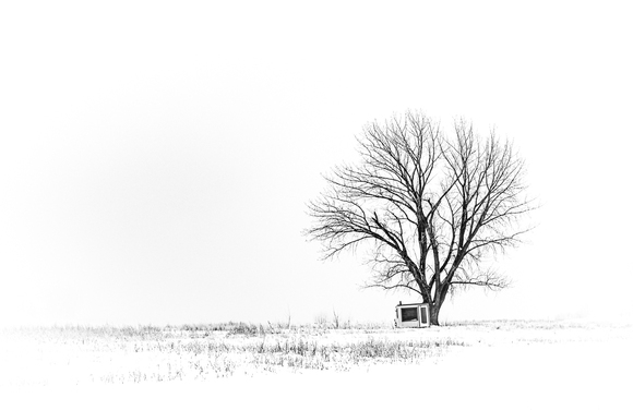 Found a friend Found a friend