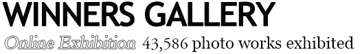 Winners Gallery