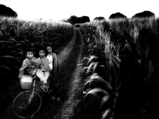 Children of the Corn