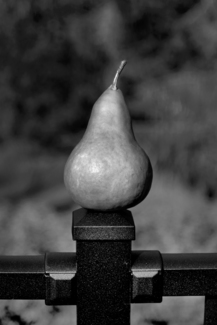 Balanced Pear