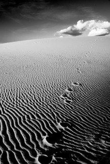 White Sands Dune #1