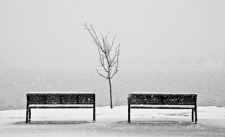 White Rock Snow Day