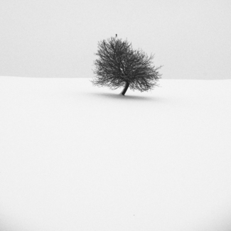 Silence winter