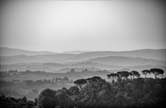 Tuscan Farms