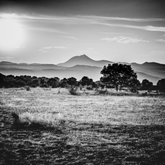 Auvergne