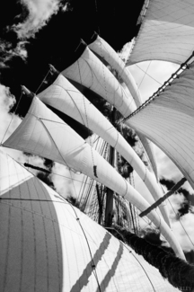 USCG Cutter Eagle, Full Sail